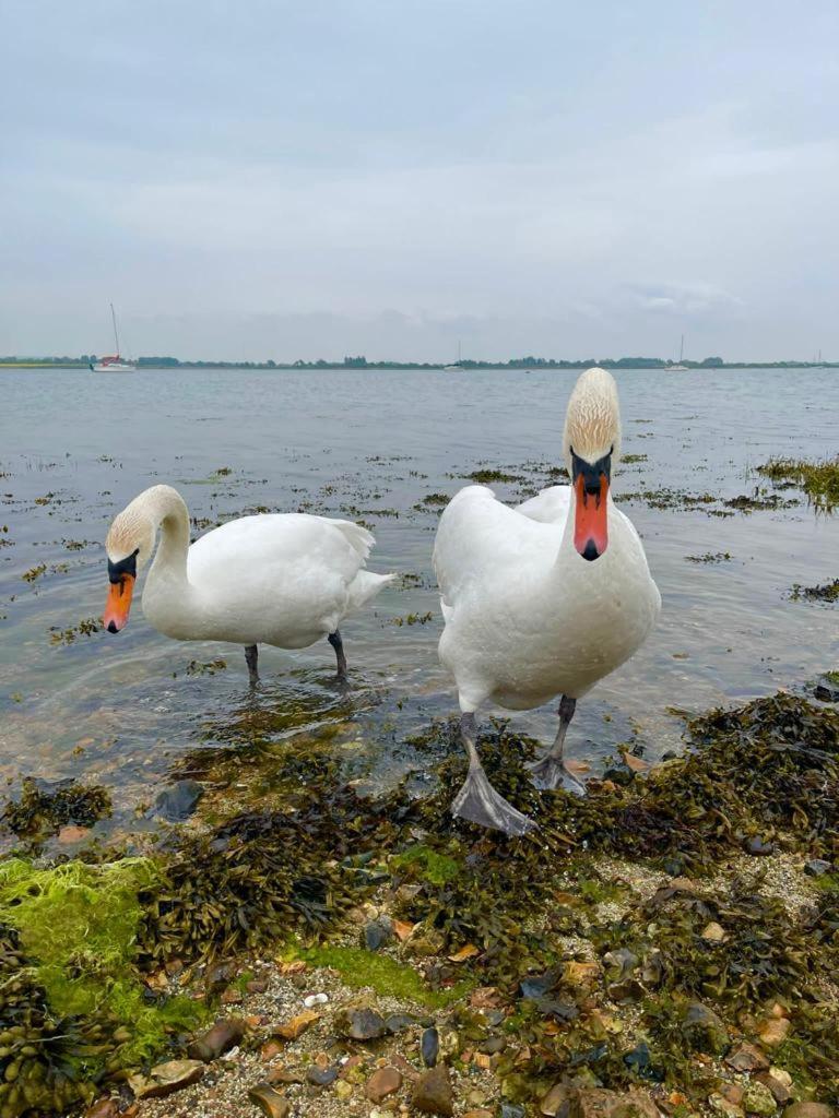 Sea Breeze Ark 900 Hotel Emsworth Kültér fotó